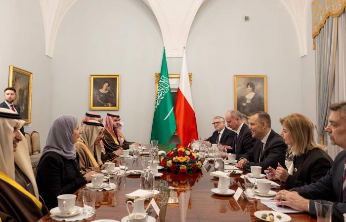 وصول
      التوأم
      الملتصق
      الفلبيني
      «أوليفيا
      وجيانا»
      إلى
      الرياض