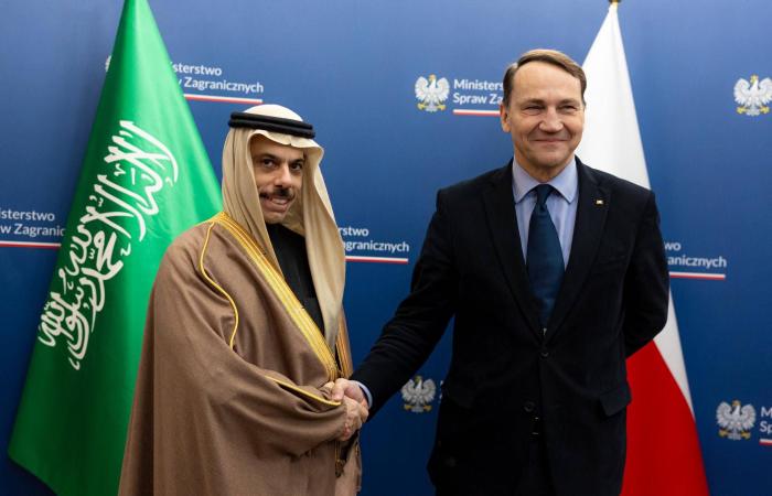 وصول
      التوأم
      الملتصق
      الفلبيني
      «أوليفيا
      وجيانا»
      إلى
      الرياض