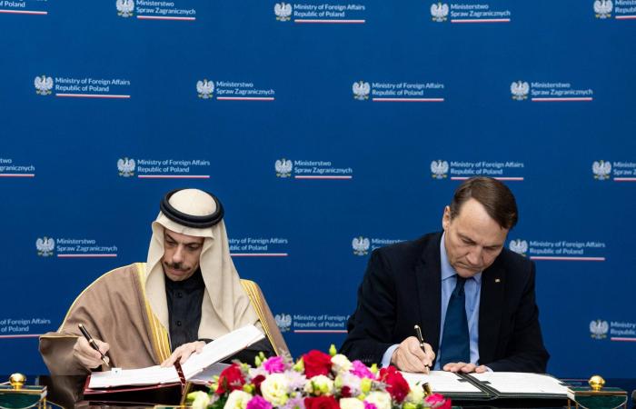 وصول
      التوأم
      الملتصق
      الفلبيني
      «أوليفيا
      وجيانا»
      إلى
      الرياض