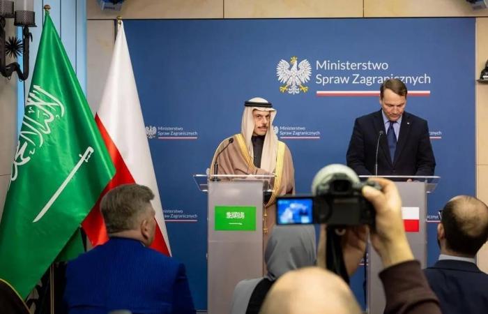 وصول
      التوأم
      الملتصق
      الفلبيني
      «أوليفيا
      وجيانا»
      إلى
      الرياض