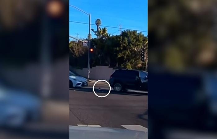 لحظة مروعة تُظهر سقوط طفل رضيع من سيارة مسرعة في كاليفورنيا