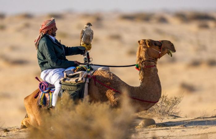 لجلعة يحافظ على صدارة المجموعة الثانية ويقترب من التأهل لنهائي بطولة القلايل 2026