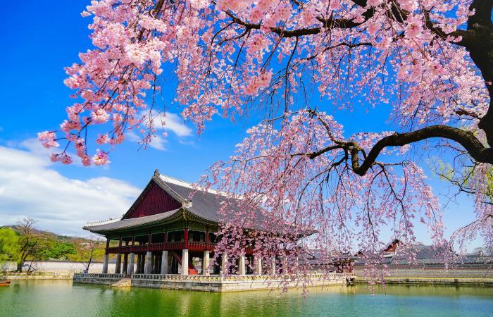 خمس
      وجهات
      لا
      بد
      من
      زيارتها
      هذا
      العام