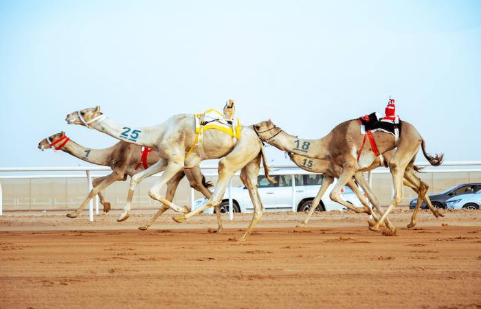 طواف
      العلا:
      الإيطالي
      ميلان
      يخطف
      أفضلية
      المرحلة
      الثانية