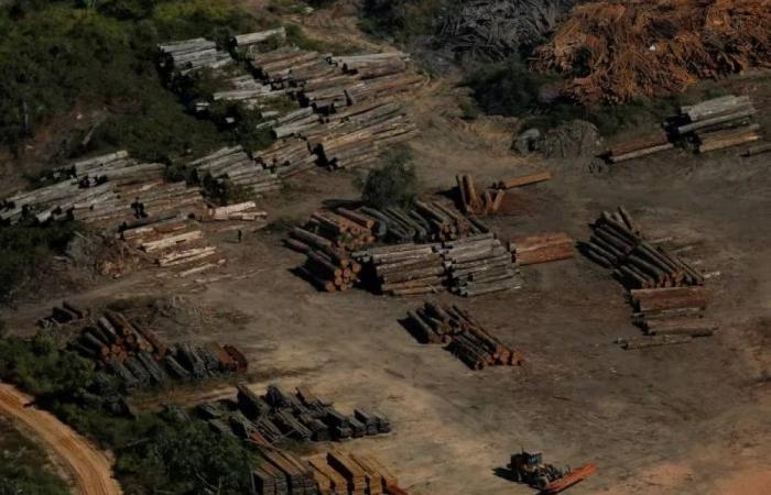 مــصــــــدر للكــــــــربــــــــــون