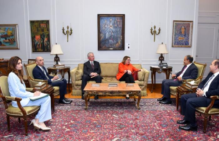 مصر.. وزير الخارجية يبحث مهام ودور القوة الدولية في سيناء مع مديرها العام