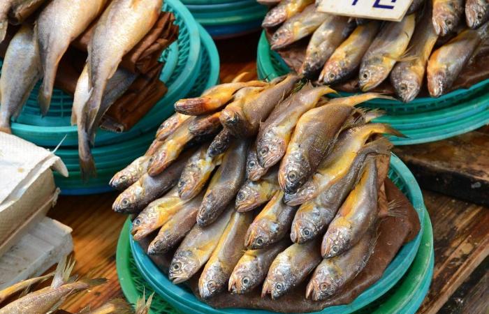 10
      أنواع
      من
      الطعام
      تمد
      جسمك
      بالكالسيوم
      بدلاً
      من
      المكملات
      الغذائية