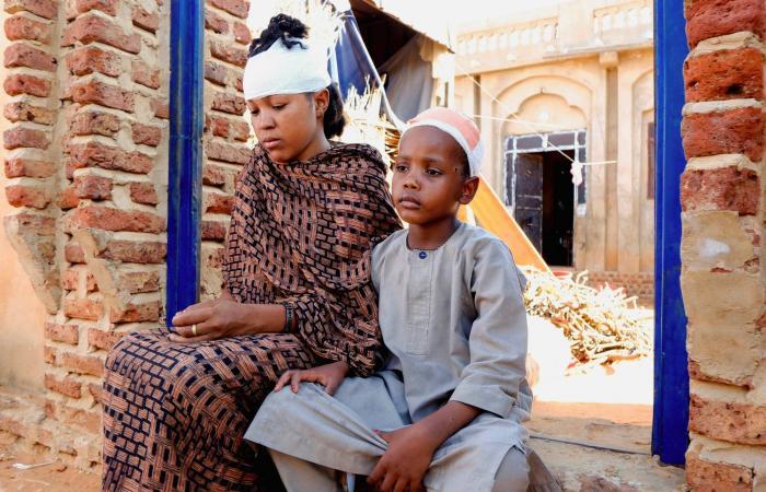 هجوم
      كبير
      بمسيّرات
      على
      مواقع
      عسكرية
      في
      شمال
      كردفان