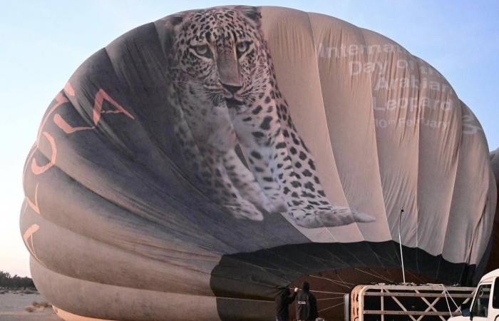 مناطيد
      وسفاري
      العُلا...
      تجربة
      سياحية
      تُحلّق
      فوق
      200
      ألف
      سنة
      من
      التاريخ