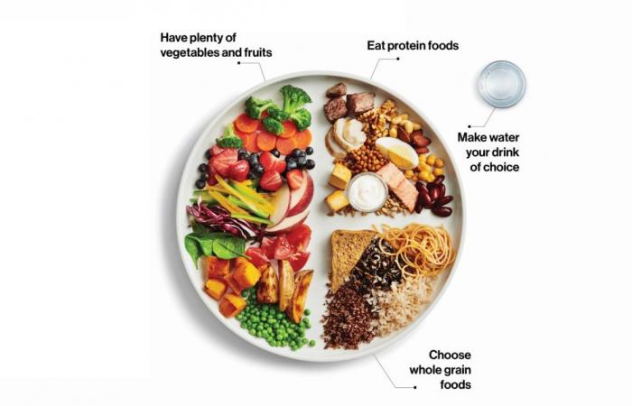اختصاصيات تغذية لـ "الشرق": إطلاق الهرم الغذائي الجديد هل يغيّر مفاهيم التغذية؟