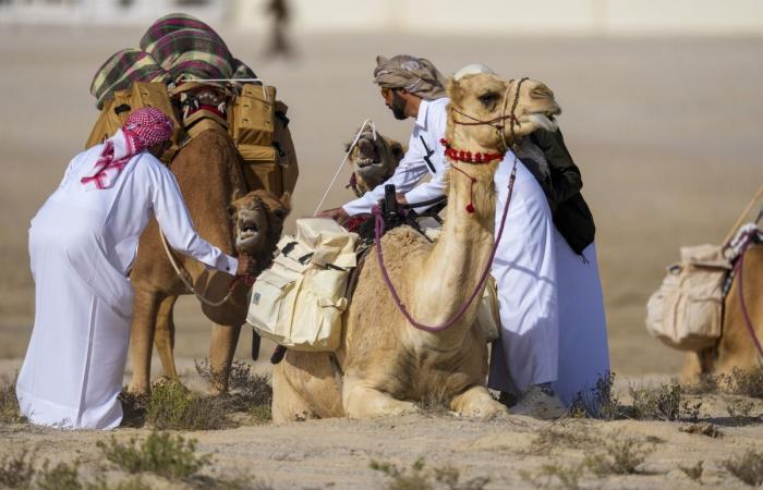 انطلاق منافسات المجموعة الثالثة في بطولة القلايل 2026