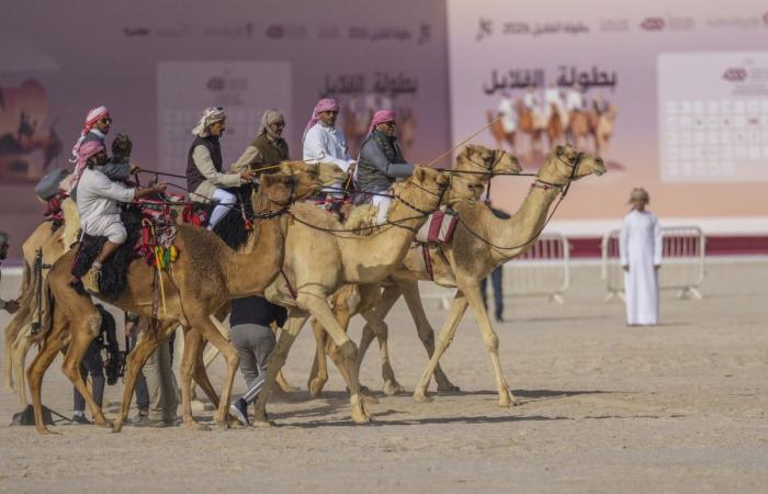 انطلاق منافسات المجموعة الثالثة في بطولة القلايل 2026