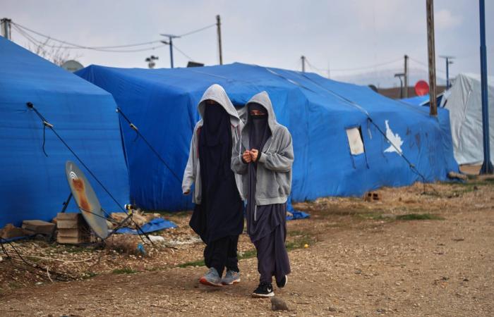 الحكومة
      السورية
      ستغلق
      ‌مخيمات
      النزوح
      وتعلن
      «الهول»
      منطقة
      «أمنية
      مغلقة»