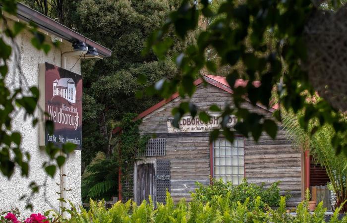 لا وجود لينابيع ساخنة بتسمانيا.. الذكاء الاصطناعي يضلّل السيّاح