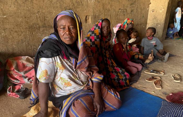 جمود
      يسود
      خطة
      «الرباعية»
      لوقف
      حرب
      السودان