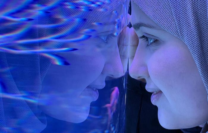 أفلام
      عن
      قضايا
      عربية
      تحصد
      جوائز
      في
      «صندانس
      السينمائي»