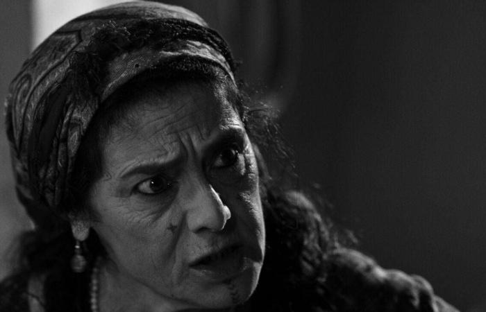 وفاة
      كاثرين
      أوهارا
      بطلة
      فيلم
      «وحدي
      في
      المنزل»
      عن
      عمر
      71
      عاماً