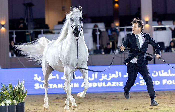 «أمينة
      غرناطة»
      و«عمار»...
      أبطال
      الختام
      في
      «مهرجان
      سلطان»