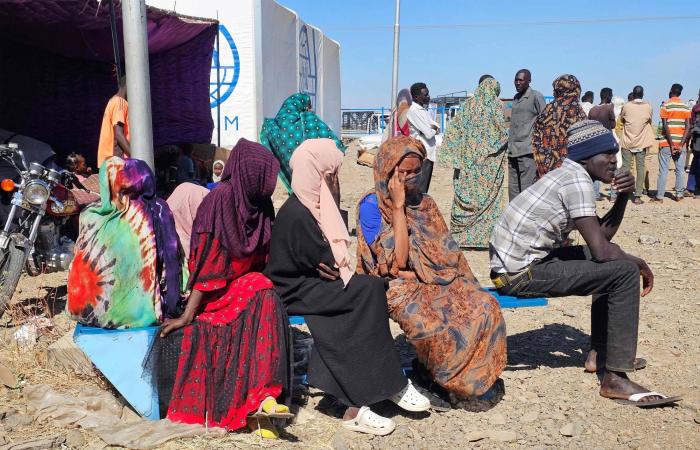 «هاتف
      مقابل
      حوالة
      بالدولار»...
      مقترح
      برلماني
      يثير
      عاصفة
      جدل
      بين
      المصريين
      بالخارج