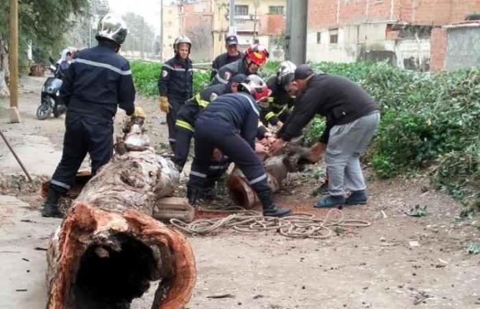 لماذا
      حجبت
      مصر
      لعبة
      «روبلوكس»؟