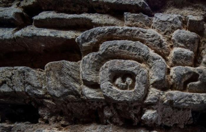 بومة غامضة وتفاصيل قيّمة.. مقبرة في المكسيك تذهل العلماء نظرًا لحالة حفظها الممتازة