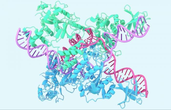 حذف
      جينات
      محددة
      يسهّل
      العلاج
      المناعي
      للسرطان