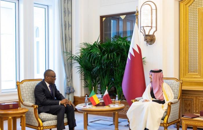 رئيس مجلس الوزراء وزير الخارجية يستقبل وزير خارجية بنين