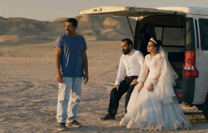 روما
      تفرض
      رسم
      دخول
      لزيارة
      نافورة
      «تريفي»
      الشهيرة