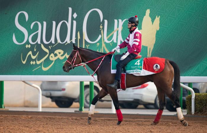 كأس
      السعودية:
      صدام
      عالمي
      للجياد
      بقيادة
      بطل
      النسخة
      الماضية
      «فوريفر
      يونغ»