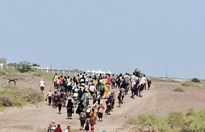 اليمن
      بوابة
      عبور
      مفتوحة
      لموجات
      الهجرة
      غير
      الشرعية