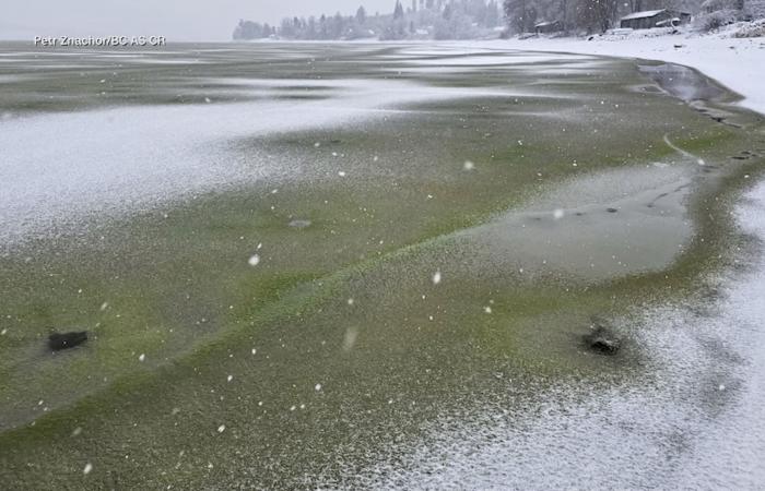 بحيرة في التشيك تتحول إلى لون أخضر غريب بعد تجمّدها