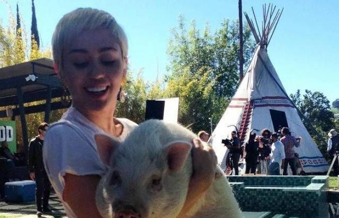 ضيف
      غير
      متوقَّع
      في
      واشنطن
      بعد
      غياب
      25
      عاماً