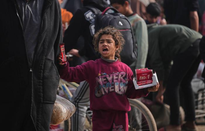 «العليا
      الإسرائيلية»
      تسأل
      نتنياهو:
      لماذا
      لا
      تقيل
      بن
      غفير؟