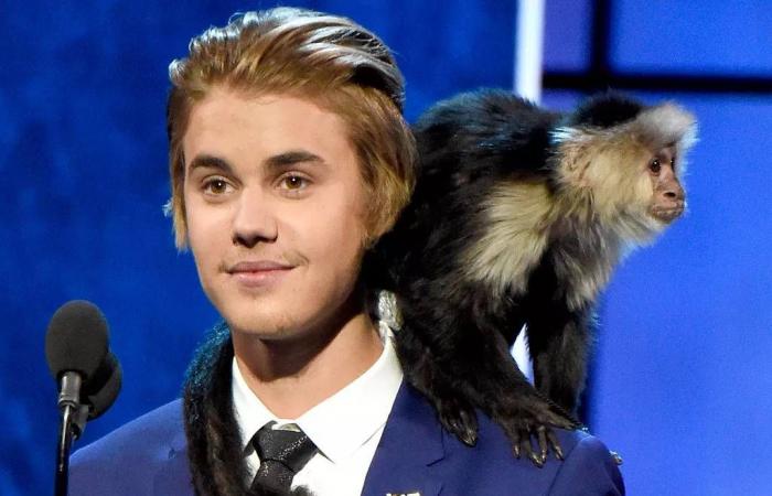 مَشاهد
      صادمة
      تُغلق
      مطعماً
      في
      ماليزيا
      14
      يوماً