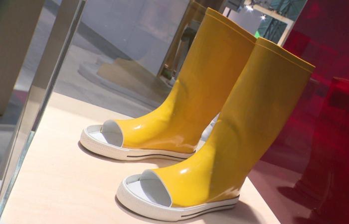 حين
      يتحول
      الفشل
      إلى
      فن...
      معرض
      «الإخفاقات»
      في
      باريس