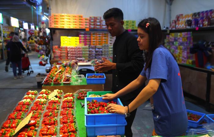 12
      طعاماً
      تدعم
      المناعة
      أكثر
      من
      البرتقال