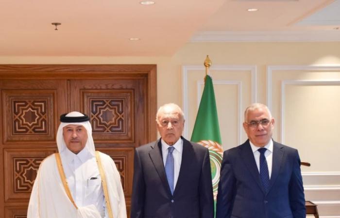 الأمين العام لجامعة الدول العربية يستقبل النائب العام