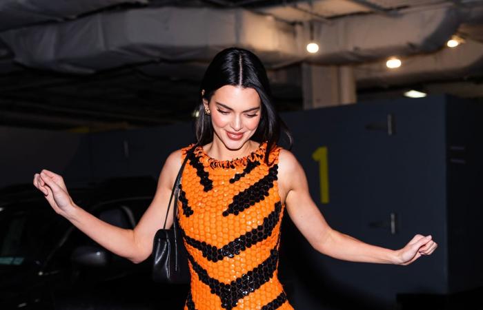 من بدلات القطط إلى نقشة الفهد.. الحيوانات تغزو منصّات الأزياء