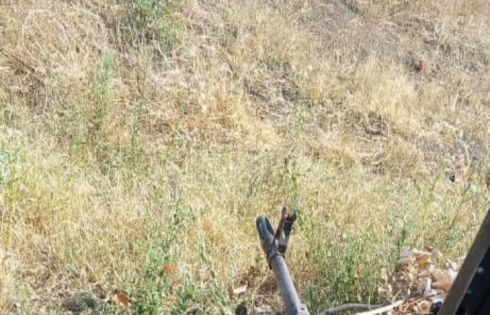 مطالب
      داخل
      البرلمان
      التونسي
      بالإفراج
      عن
      نائب
      لانتقاده
      الرئيس