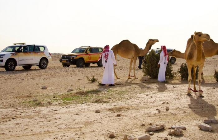 البيئة ترصد مخالفات بيئية ورعيا جائرا ومخيمات غير مرخصة