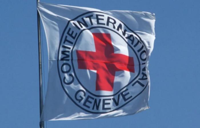 الصليب الأحمر: آلاف المفقودين بغزة وتحديات تواجه التعرف على جثامين الشهداء جراء التعذيب