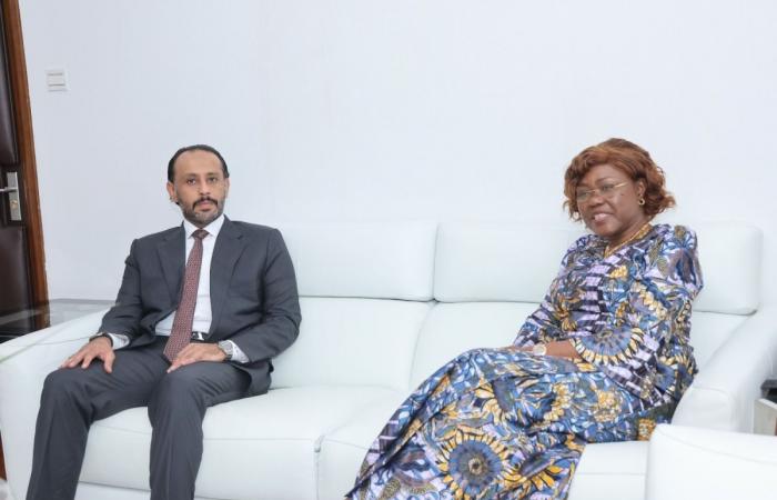 وزير الدولة وزير الشؤون الخارجية في كوت ديفوار تجتمع مع سفير دولة قطر