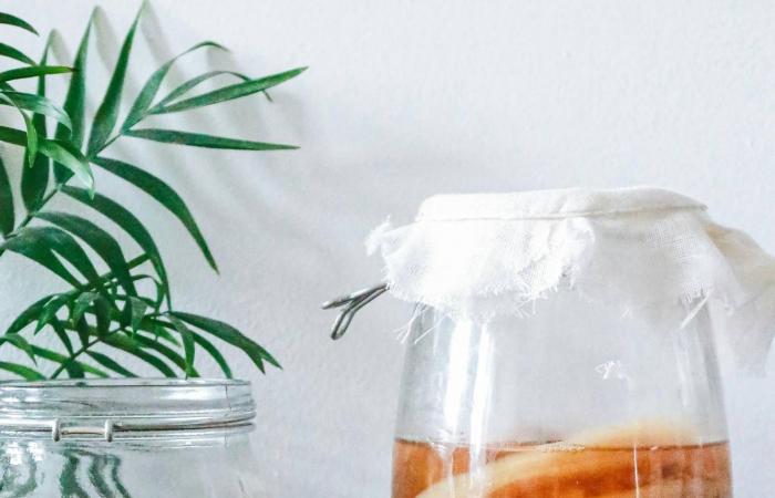 زيت
      الزيتون
      ومرق
      العظام…
      هل
      تفي
      صيحات
      «صحة
      الأمعاء»
      بوعودها؟