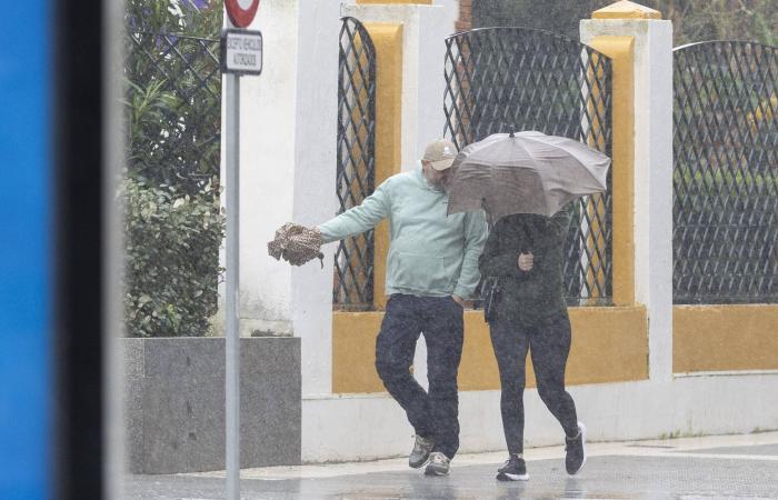 النوبة
      القلبية
      في
      عمر
      الشباب...
      ما
      أسبابها؟
      وكيف
      تحمي
      نفسك
      منها؟