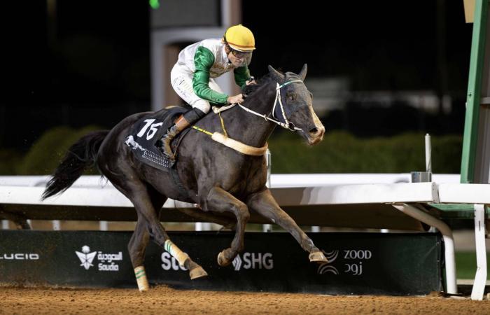 الشيخ
      عبد
      الله
      المالك
      الصباح
      لـ«الشرق
      الأوسط»:
      دعم
      ولي
      العهد
      جعل
      كأس
      السعودية
      قبلة
      عالمية
      للفروسية