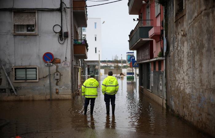 النوبة
      القلبية
      في
      عمر
      الشباب...
      ما
      أسبابها؟
      وكيف
      تحمي
      نفسك
      منها؟