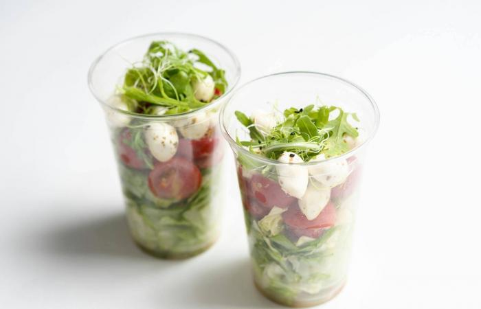 سارة
      كنج:
      زعتر
      جدتي
      كان
      رفيقي
      في
      غربتي