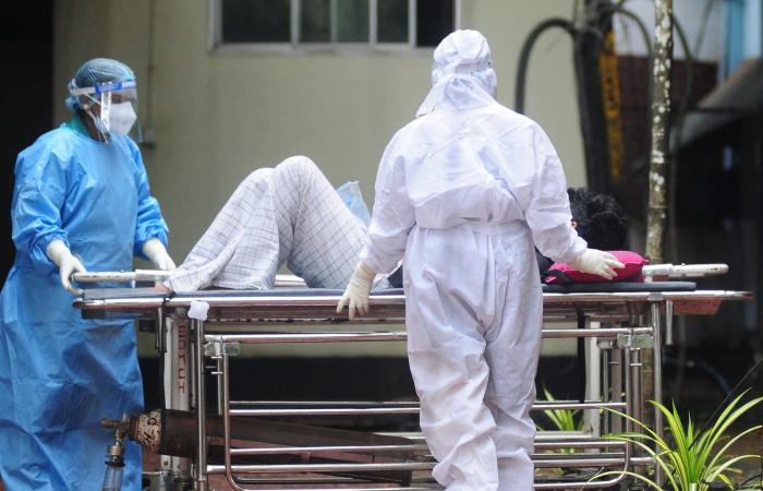 بعد الإبلاغ عن حالتي إصابة في الهند.. إليك ما يجب معرفته عن فيروس نيباه النادر