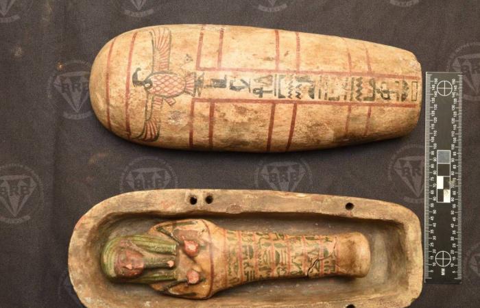 معارض
      أجنبية
      تقود
      للكشف
      عن
      آثار
      مصرية
      منهوبة