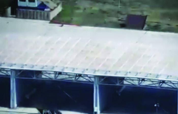 ميراث
      الأسد
      بعد
      هروبه...
      عنيد
      ومغرور
      ومهووس
      بالجنس
      وألعاب
      الفيديو